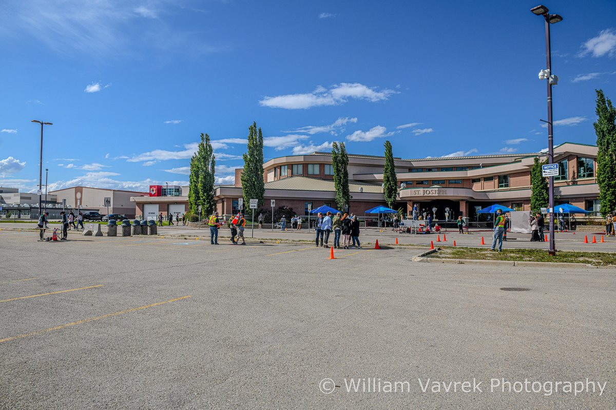 William Vavrek tweet media