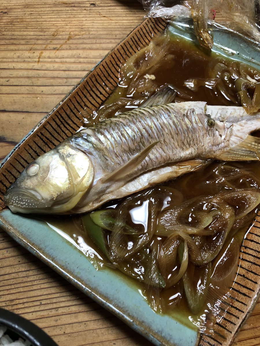 ビワタナゴ 確かにタモロコ系は美味しいですね 大概の魚は油で揚げれば美味しくなっちゃうのでなんとも言えないですね