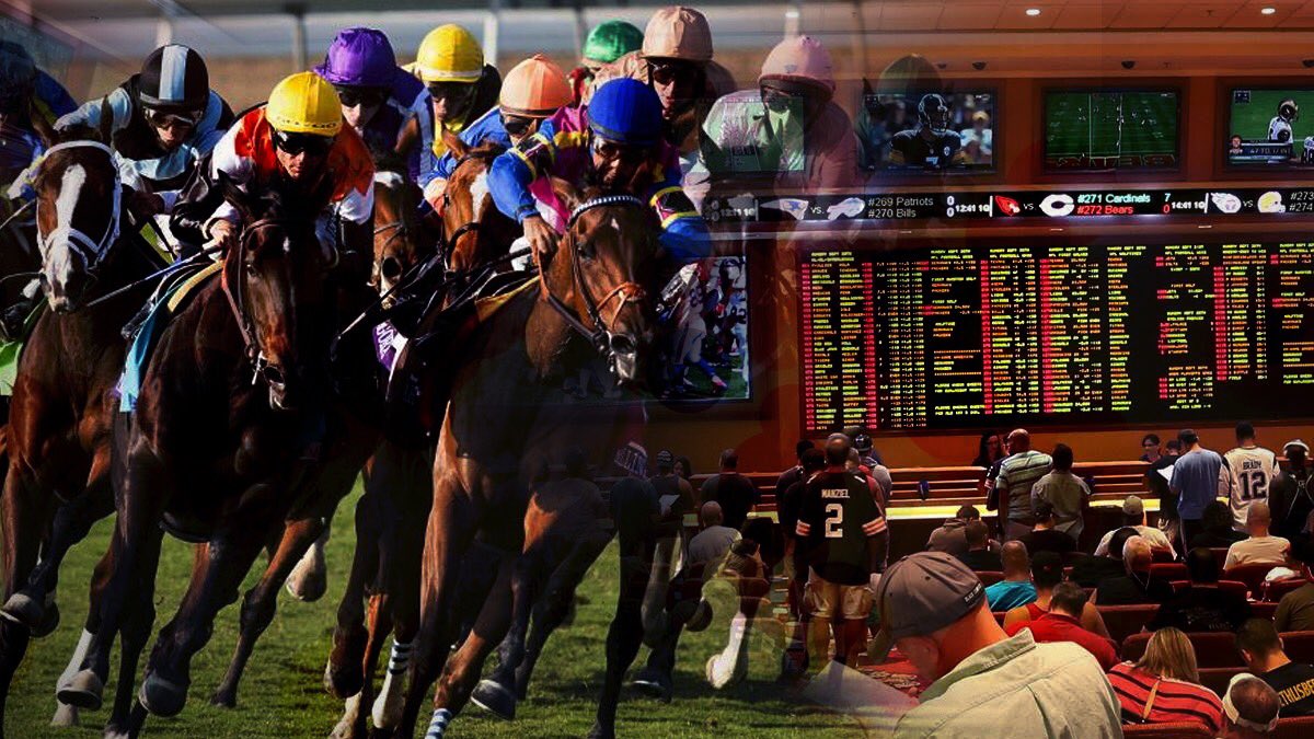 How to place a bet on a horse race online How to place a bet on a horse race online marsupials and placentals similarities between the crucible and mccarthyism