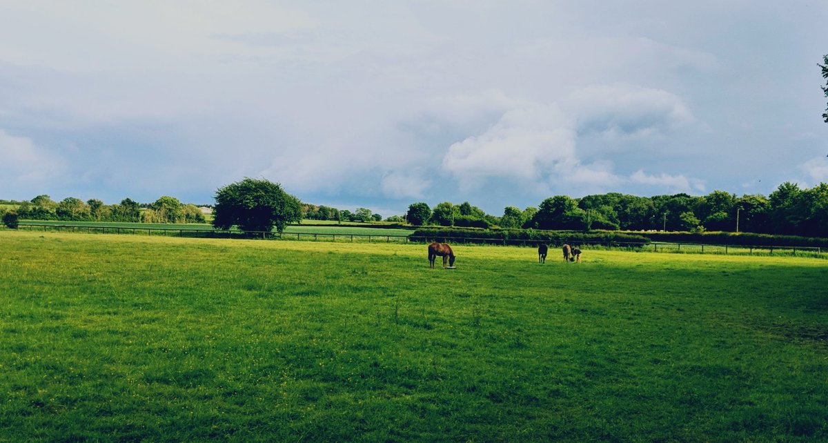 TabithaSpringh2's tweet image. Moody evening at @MoynsParkStud with @Conor_S_Nolan 🍃☁️#moody