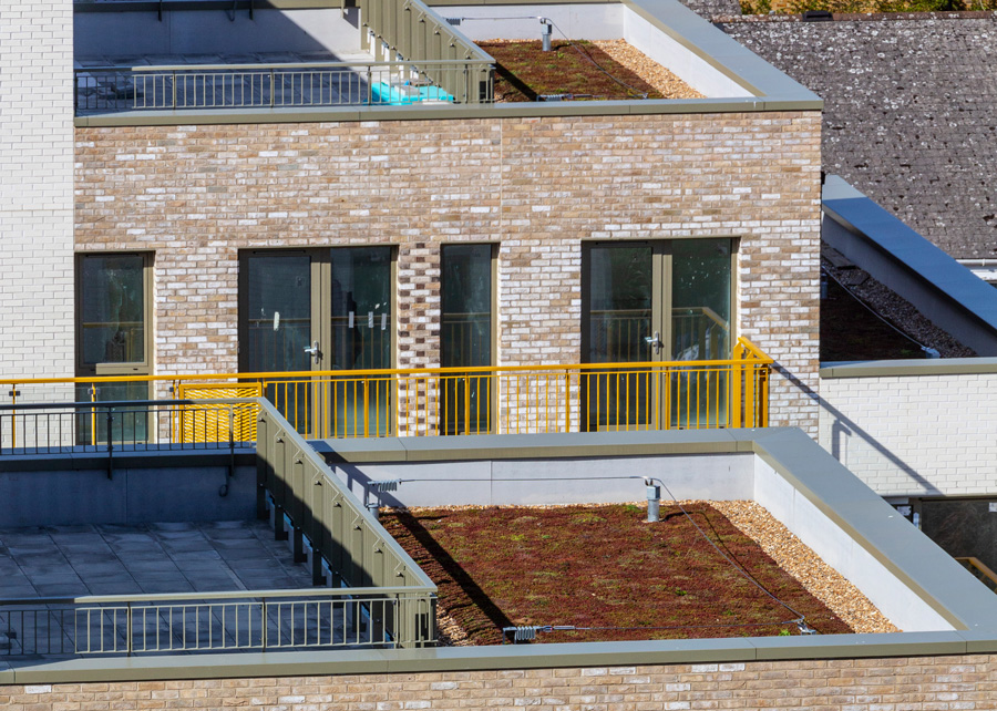 RadmatOfficial's tweet photo. Celebrating World Green Roof Day🌍🌱

The Forge, E6, comprises sedum &amp; wildflower green roofs, pv panels and blue roof systems to efficiently manage drainage and sustainability.
https://t.co/ryLIU1D5ru
#WRGD2020 #WRGD #greenroof #blueroof
@TheNFRC @worldgreenroof @greenroofsuk https://t.co/dw9WbxEAif