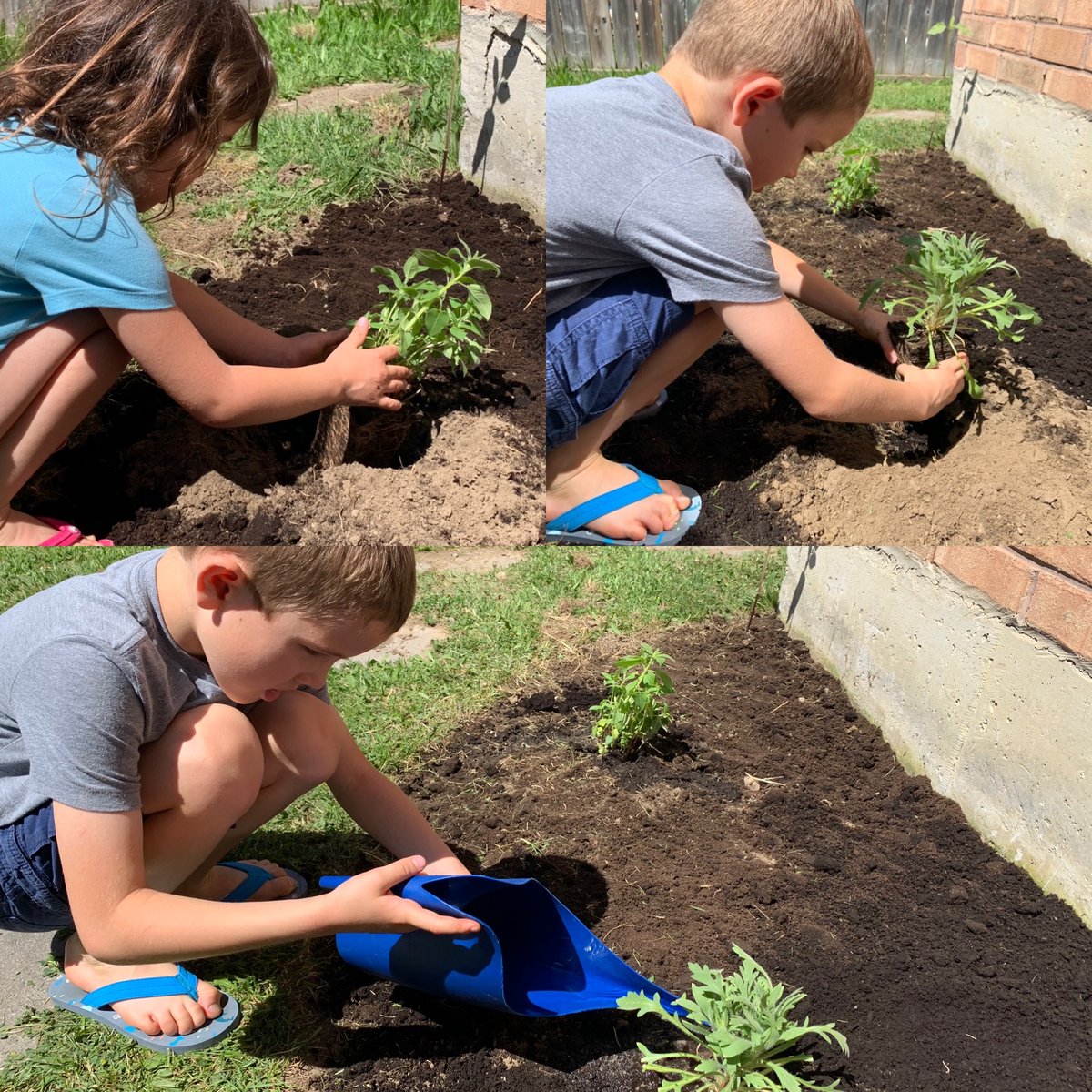 Planting the pollinator pack 🐝💚@CWF_FCF #cwfwildspaces