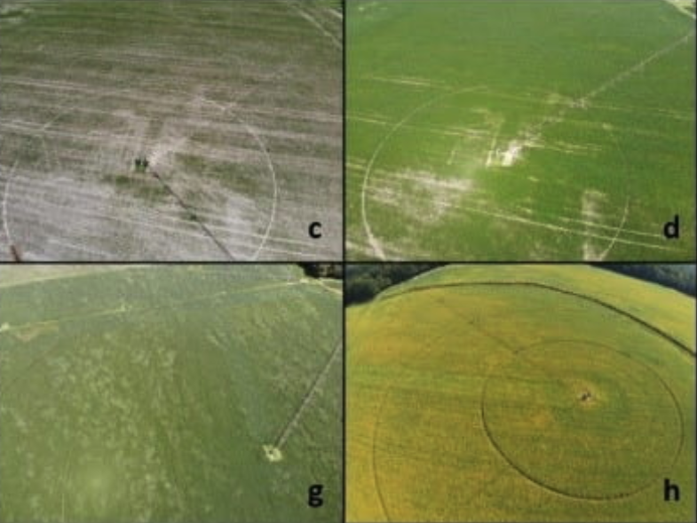 UDExtension's tweet photo. USING A #DRONE FOR CROP SCOUTING

Hailed as the future of precision agriculture, their best use in farming is still as a scouting tool...
➡️ Learn more: https://t.co/KtY5Zz21Qq

#WeeklyCropUpdate #DelawareAgriculture #UDel #Delaware #netDE #agriculture https://t.co/adlPxCKX2f