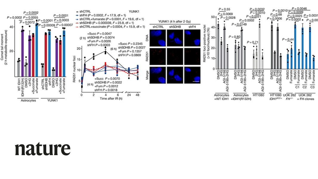 Research published in Nature describes how altered cancer metabolism suppresses DNA repair via the production of an oncometabolite. go.nature.com/3cAhyfp