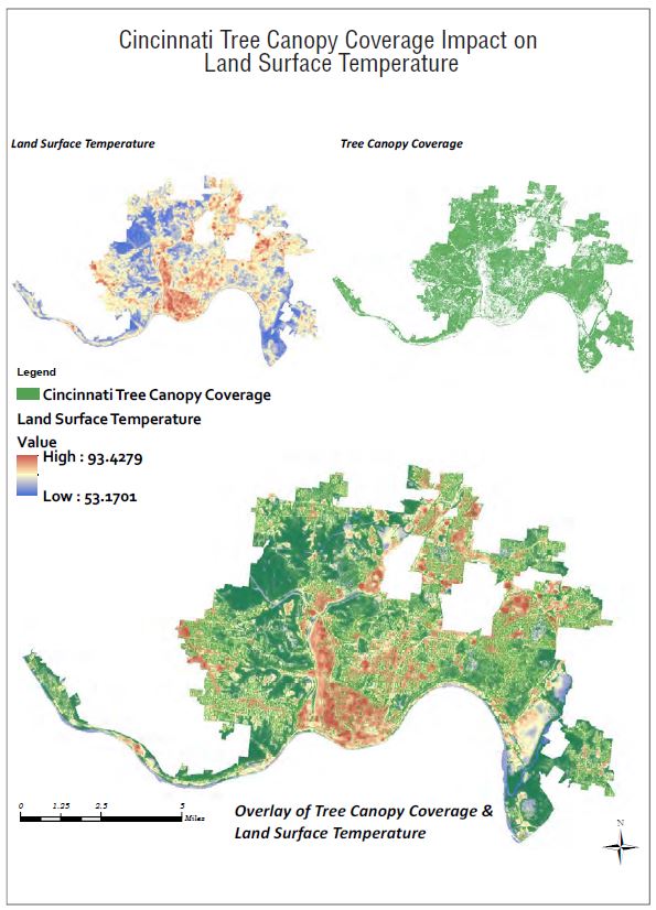 Cincinnati Parks On Twitter It S Getting Hot Cincinnati Parks Urban Forestry Maintains Shade Trees For Your Benefit Trees Vastly Reduce The Heat Island Effect Dropping The Temperature And Cooling You Off Best