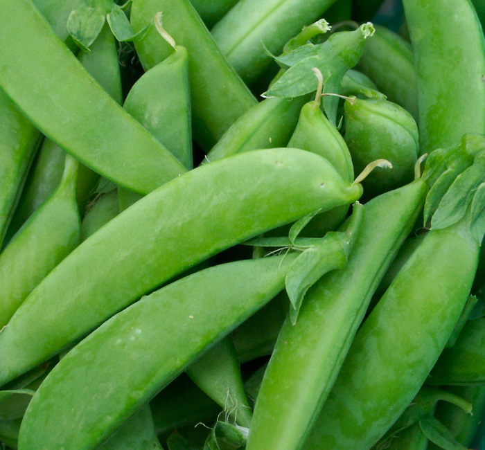 Can conclusively say, after eating roughly 1kg of the very first sugar snap peas, they are so addicting. We’re adding them to web shop for next week as an add-on: florenceroadmarket.com/product/rock-f…