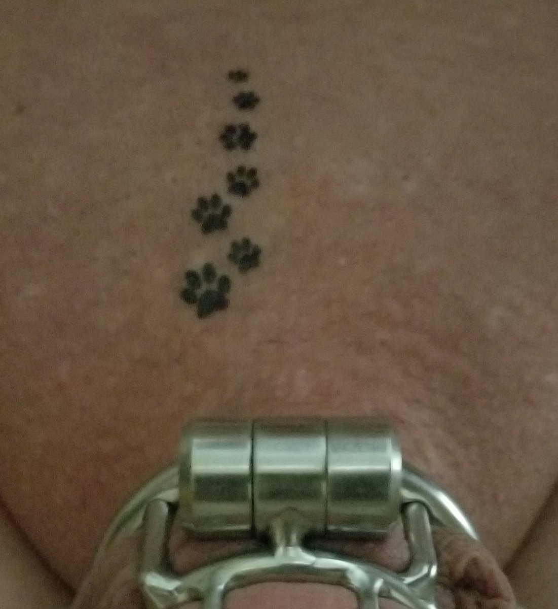 lockedupdaawg's tweet photo. Time to fuck Her how She likes.
Locked, "loaded", thick, long, strong, denied and ready to go the distance.
Hmmmmm...
Glass plug or Square Peg Monster plug?

#locked #caged #flr #malestrapon #strapon #plugged #chastity #slave https://t.co/9AQfavwG4r