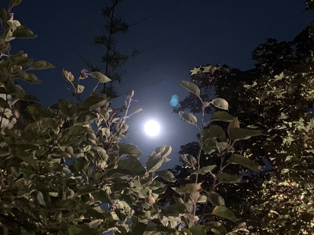Bettibu7's tweet photo. #moon #Milano #guardareinalto https://t.co/q5LgWIQRRW