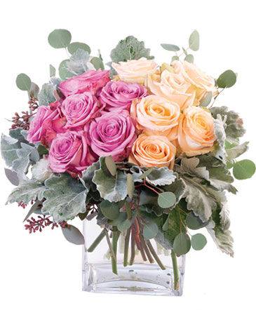 June is rose month and this rose on rose arrangement can be delivered today if you order now! cameronsflowershop.com/product/ro0061…
#kwawesome #flowers #belmontvillage #roses