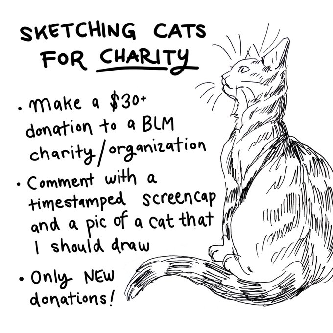 I'll be sketching cats this weekend! Make a $30+ donation to a BLM charity of your choice and comment with a timestamped screencap below + a pic of the cat I should draw (can be your pet or any other cat, you decide) ? 
Only new donations! 
https://t.co/kRg5PBPJPi 