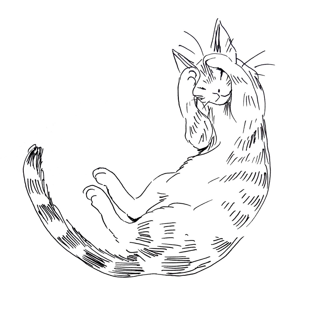 I'll be sketching cats this weekend! Make a $30+ donation to a BLM charity of your choice and comment with a timestamped screencap below + a pic of the cat I should draw (can be your pet or any other cat, you decide) ? 
Only new donations! 
https://t.co/kRg5PBPJPi 