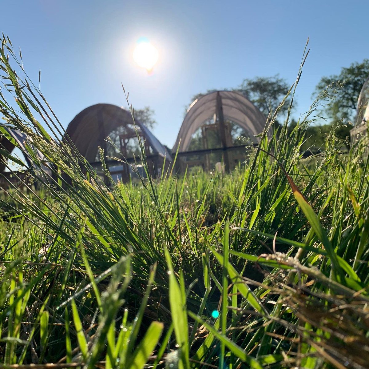 Do you know where your food comes from?

We think you should!

We believe there is a better way... the pasture raised way. 

We truly are or will become what we eat.  It’s time to get to know what you are putting on your plate. #abetterway #pastureraised #copleyfreshstartfarm