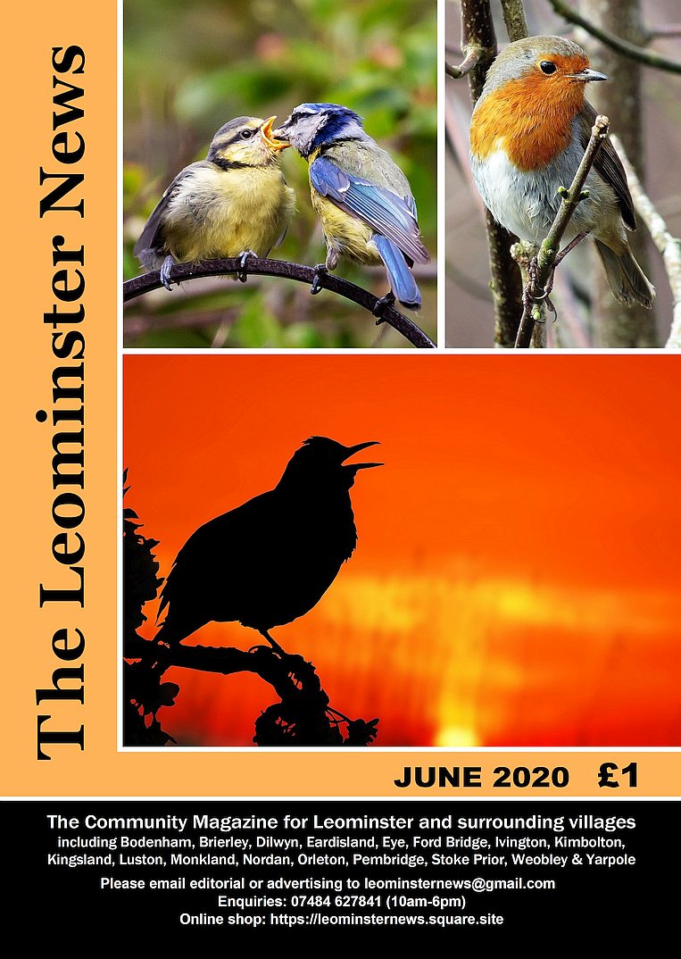 LeominsterNews's tweet photo. June issue of #LeominsterNews now on sale in #Leominster  including @ParrysFruitVeg also #Bodenham #Kingsland #Luston #Orleton #Weobley #Yarpole https://t.co/6DNJlejuhn