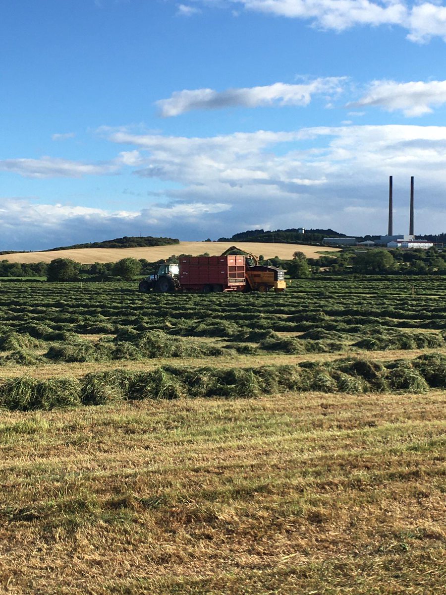 Silage season 2020. <a href="/SorchaRKelly2/">Sorcha R. Kelly</a>
