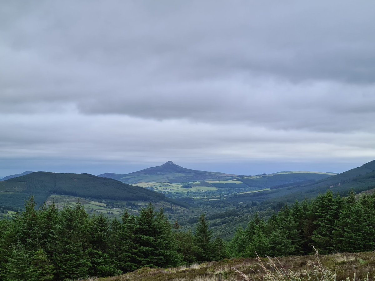 MrsFitz09's tweet image. 2 photos taken in the same spot...1 infront and one behind me..... what kind of absolute scum does this...nappies, beer bottles, tequila bottles and who knows what else! #rubbish #Dumping #scum #wicklowmountains