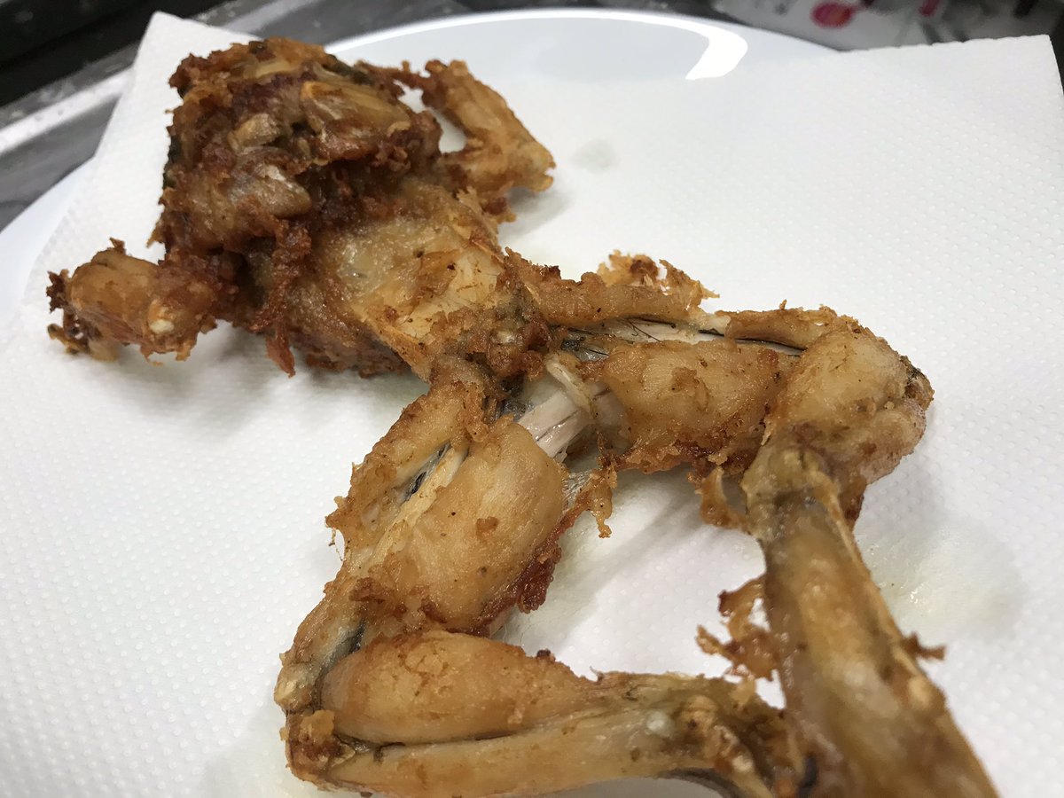 カエルを食べよう ウシガエルの姿揚げ 2ページ目 Togetter カエルを食べよう ウシガエルの姿揚げ 2ページ目 Togetter
