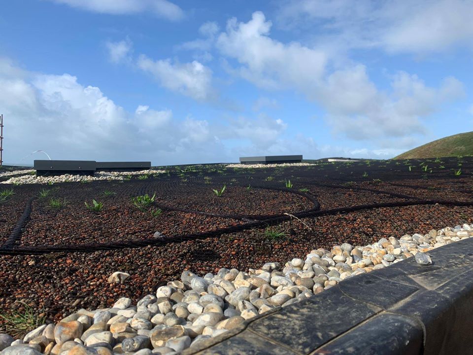 SkyGardenUK's tweet photo. What a beautiful place to install a #GreenRoof!
#WGRD #WGRD2020 #incredibleviews #greenroofs #environment #Sedum #wildflower #sedumplugs #nature #greenitall https://t.co/lGHZiyfLhF