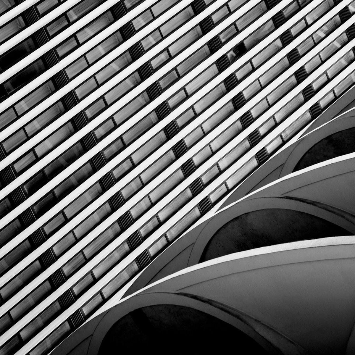 AngieMcMonigal's tweet photo. Side by side, some of Chicagoโs most iconic buildings
#marinacity #aoncenter #aqua https://t.co/kRsGDcn9Jk