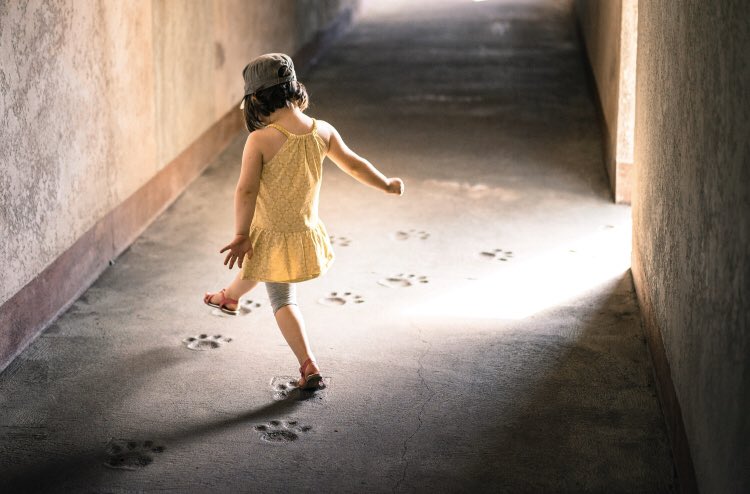 JuliaUbbenga's tweet photo. New blog post up! SUPER inspirational one on intentional living by guest Rose Lounsbury today.
https://t.co/LE8Bsi1Z4X
#minimalism #mininalistmom #slowdown #slow #intentionalliving https://t.co/3g7fcGV1Mj