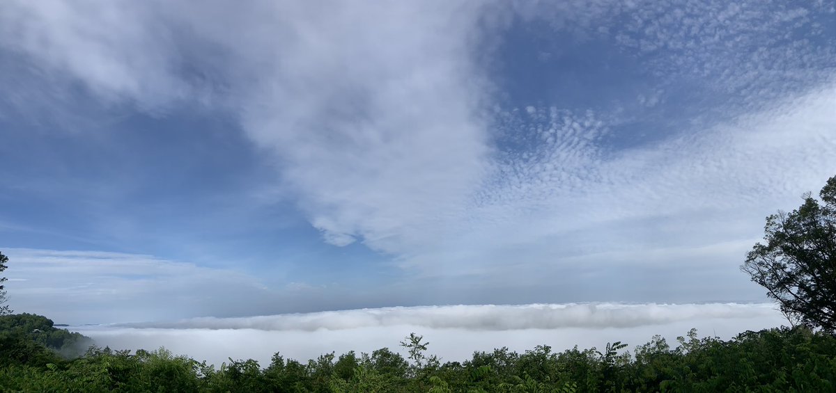 ccnelz's tweet photo. Brow Park, Mentone, AL. 
This morning.
@spann https://t.co/vIqxdfZPrK