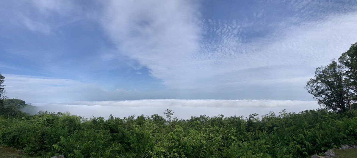 ccnelz's tweet photo. Brow Park, Mentone, AL. 
This morning.
@spann https://t.co/vIqxdfZPrK