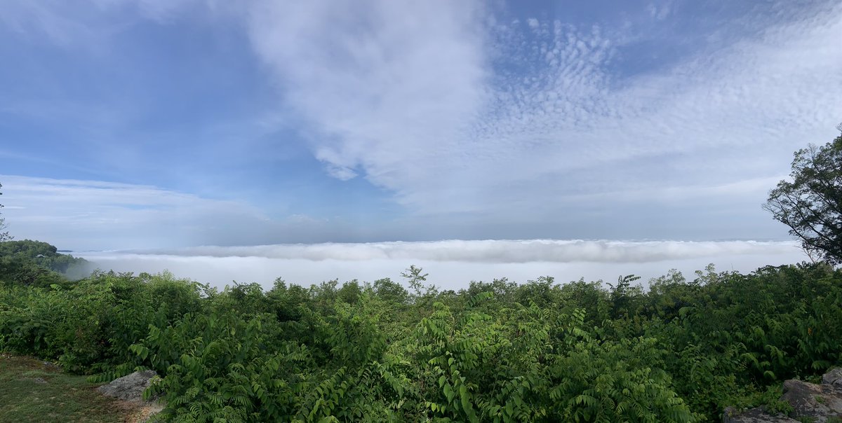 ccnelz's tweet photo. Brow Park, Mentone, AL. 
This morning.
@spann https://t.co/vIqxdfZPrK