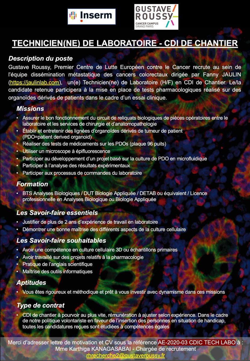 Zechlab Zech Lab Twitter