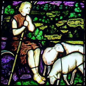 Irish saints encountered wolves! There is a story that when St Patrick was a shepherd boy, a wolf carried off a sheep he was looking after! It returned the next day with the sheep still alive & lay it unharmed at his feet! 