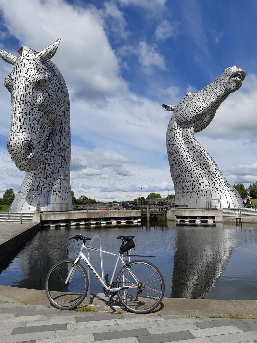 Sally Cinnamon tweet media