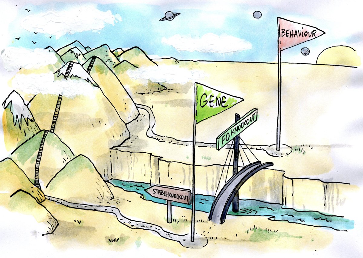 François Kroll tweet media