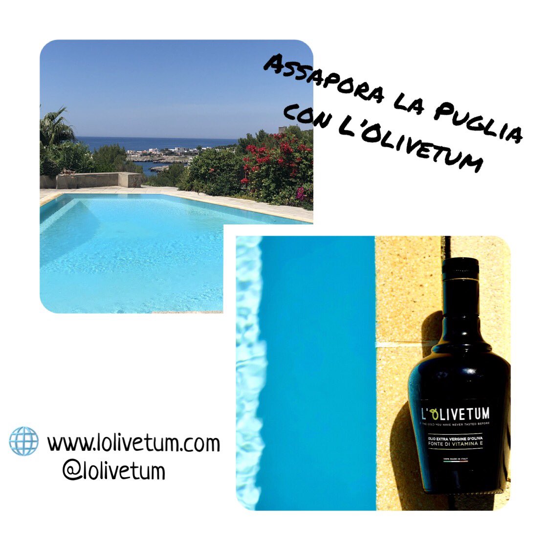 LOlivetum's tweet photo. #lolivetum porta la #Puglia direttamente a casa tua 🏠 
https://t.co/n5vMCiSRxh - Spedizione in Italia Gratuita! 

#olioextraverginedioliva #olioevo #oliveoil #prodottoitaliano #MadeinItaly #weareinpuglia #Food #Foodie #foodlover #foodblogger #Italia #shoppingonline #gourmetfood https://t.co/qsMLUYS9P0