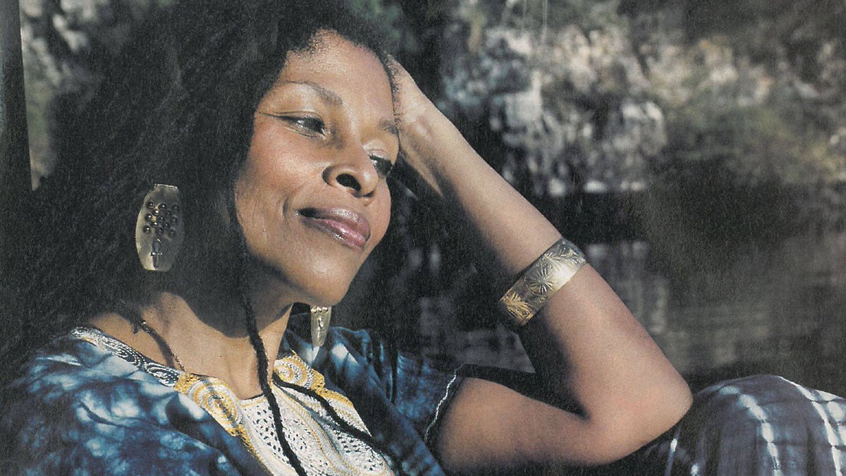 “...and minimalizes the cultural values and wisdom of people all over the world, and sells this kind of McDonald-ized vision of the world that everybody is supposed to aspire to.” - Assata Shakur