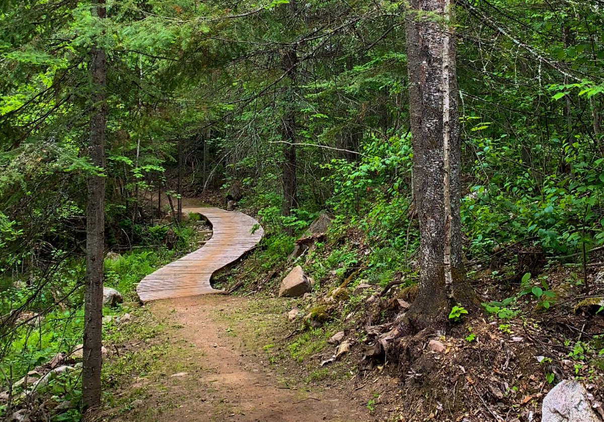 GiantsRidge's tweet photo. Trails are in great shape and the weather couldnβt be better! Come join us today, 11am-7pm to #ridetheridge. https://t.co/PG58d8KJPD
