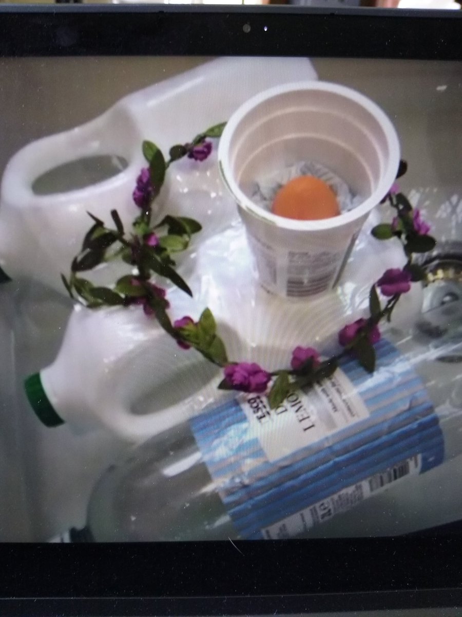 1st Taverham Scouts tweet media