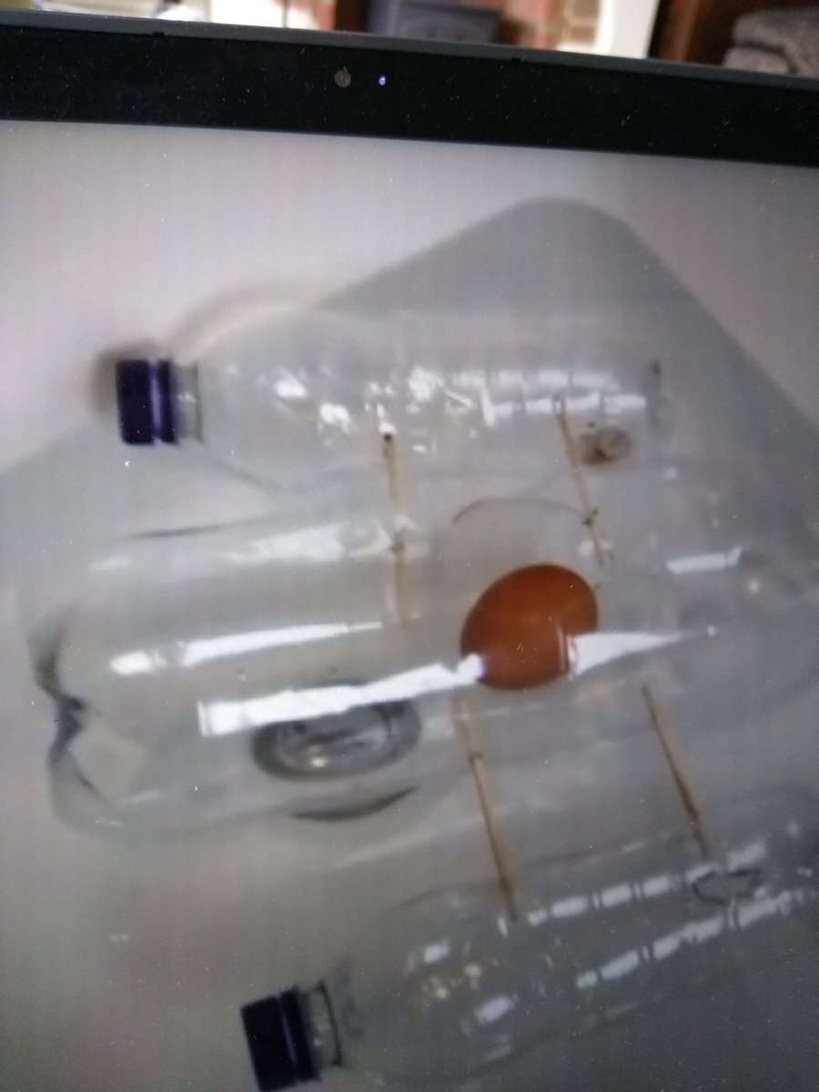 1st Taverham Scouts tweet media