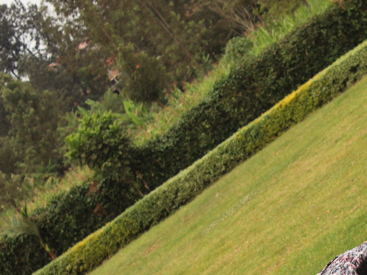GladmaHardware's tweet photo. Fellow Kenyans, successful people look like you! https://t.co/b8QlMAR4JX