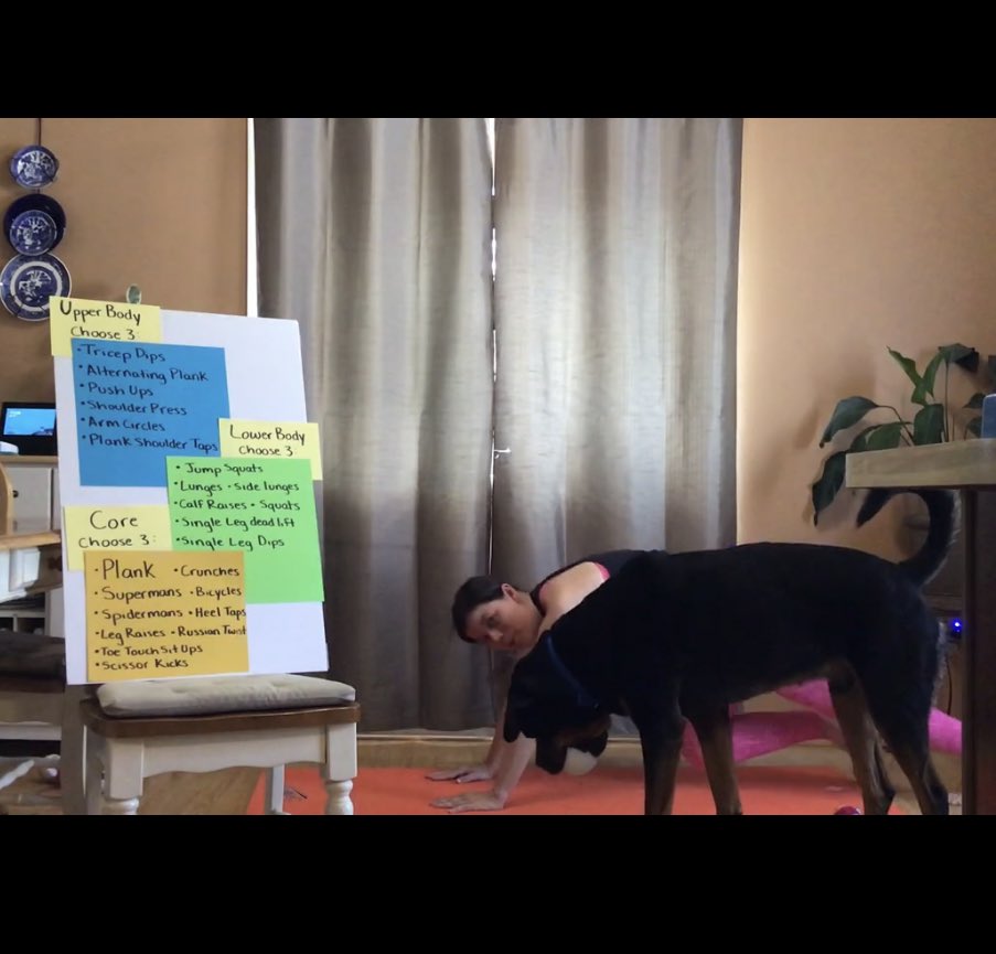 Amanda Weisgerber tweet media