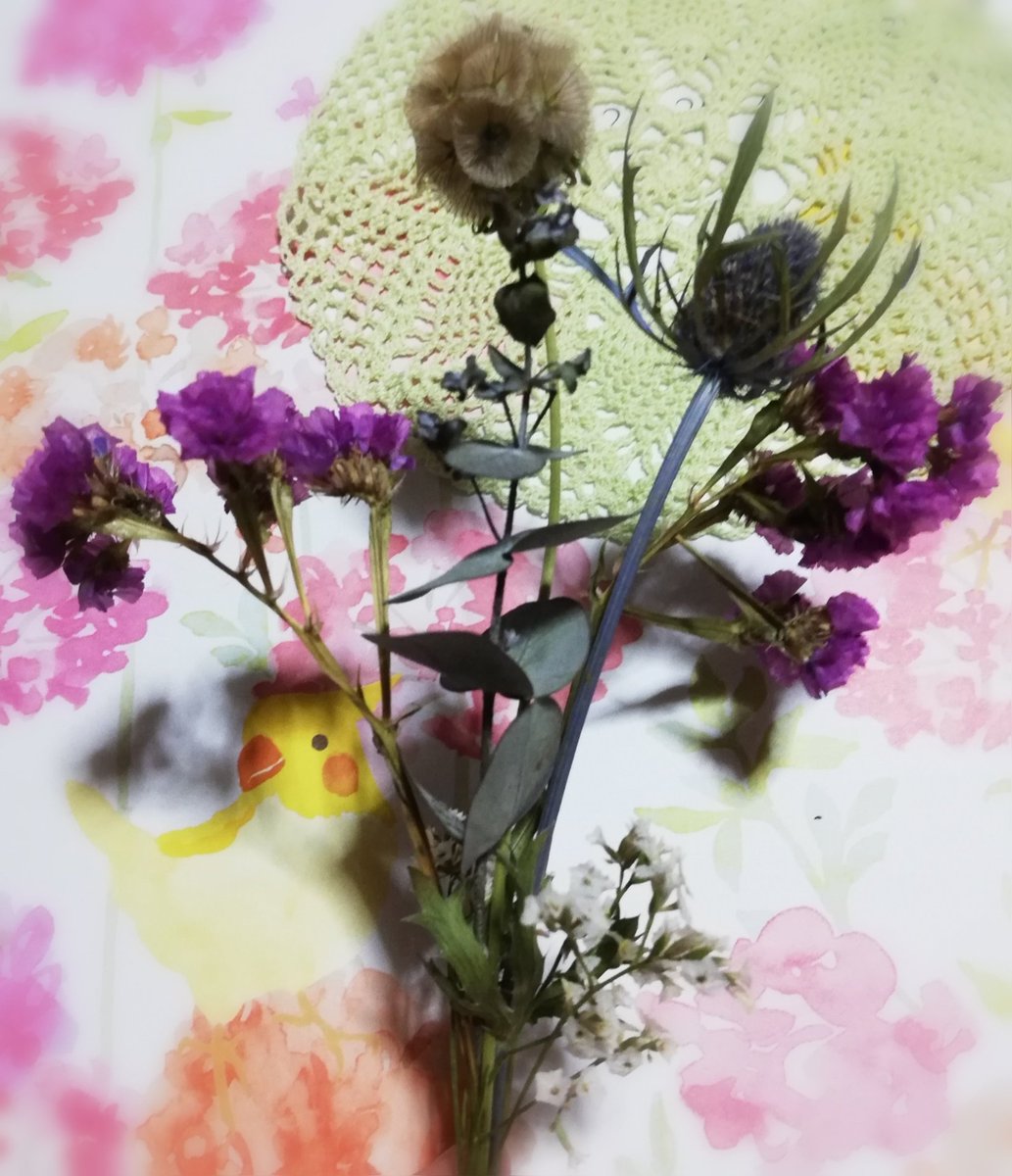 りりぃ على تويتر これまでに３回届いたお花の定期便の花でつくったドライフラワー スターチス 紫 ハイブリッドスターチス 白 ステルンクーゲル 茶 エリンジューム 青 ユーカリ