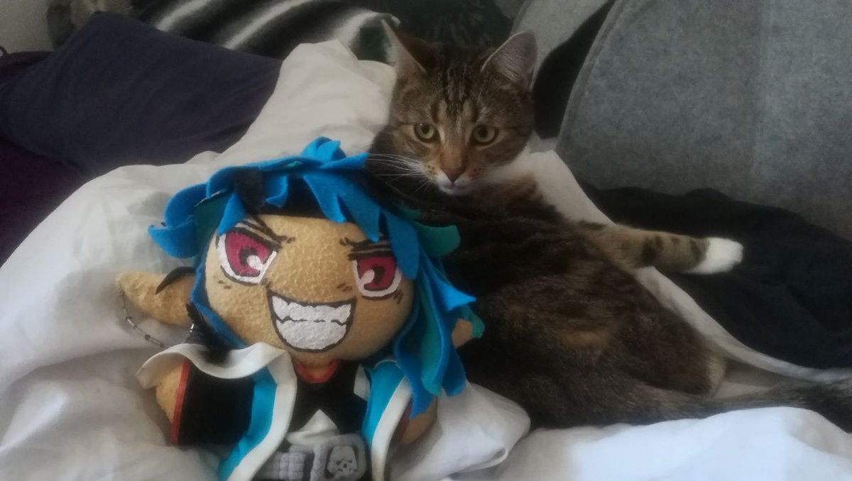 LordCamio's tweet photo. Ich verpflichte übrigens weiter fleißig neue Untergebene! Habe welche gefunden, die noch weniger Widerworte geben als Menschlein. Dafür haaren sie ziemlich! https://t.co/aeF1ULEMLB