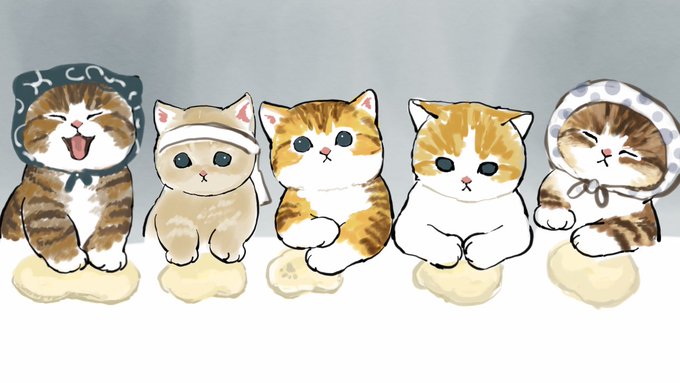 「三毛猫」のTwitter画像/イラスト(新着｜RT&Fav:50)｜12ページ目