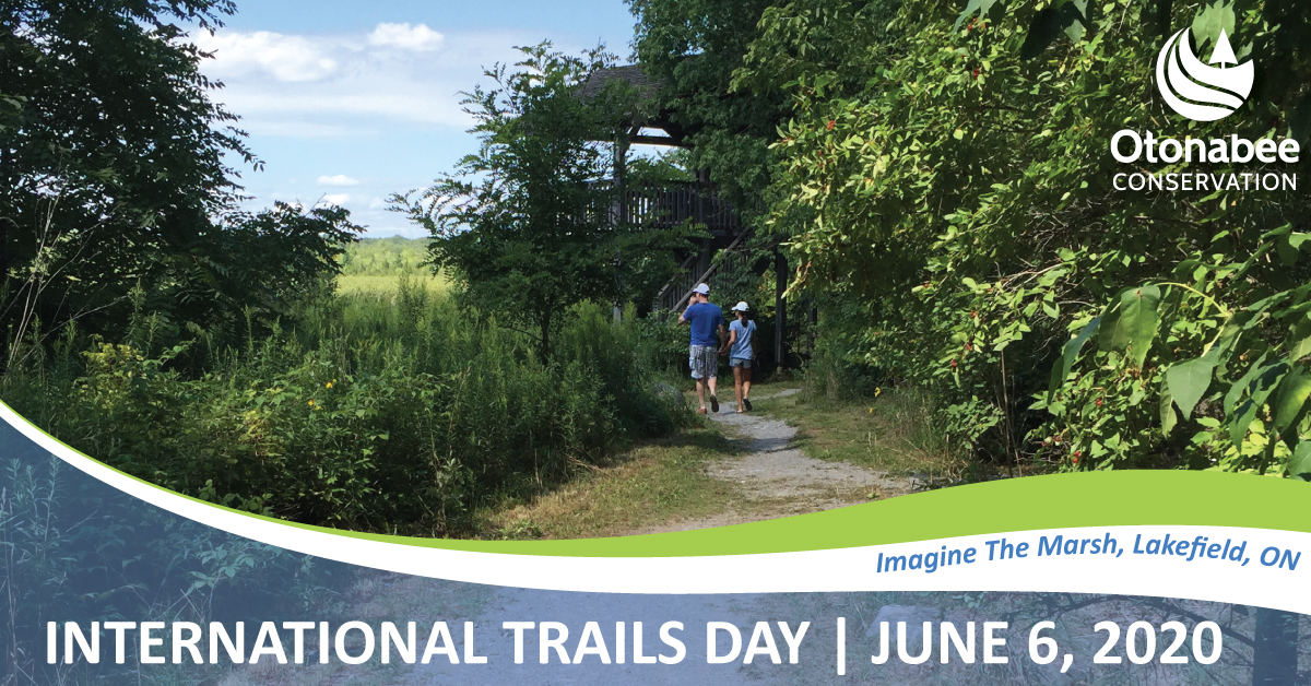 OtonabeeC's tweet photo. June 6th is International Trails Day! Celebrate with a visit to one of our trails or Conservation Areas. Visit our interactive map to choose a trail in the Otonabee Region watershed. Let's hike, bike & walk to celebrate local trails #IntTrailsDay
https://t.co/jJ45Tzueef https://t.co/MdUOCHDJJd
