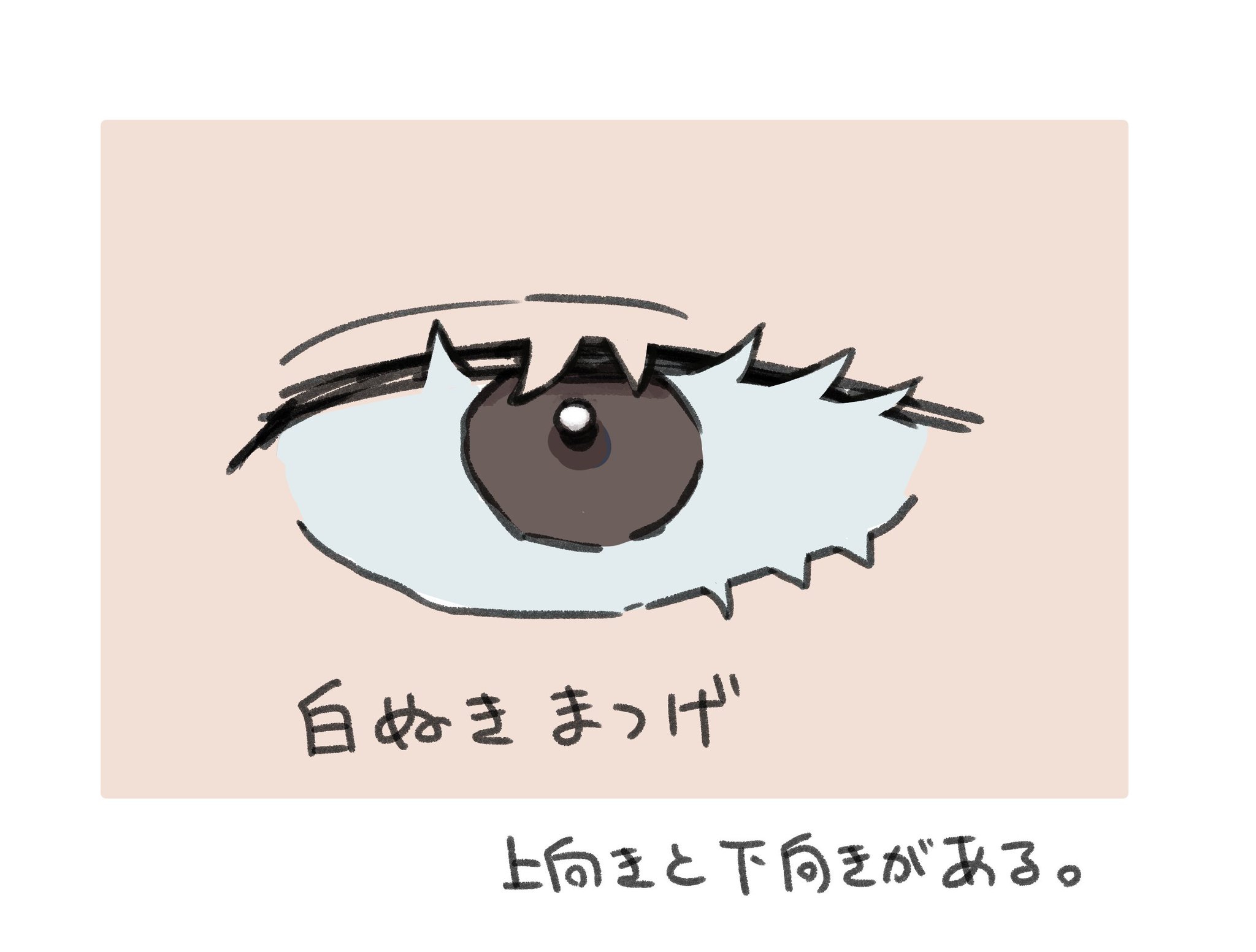 あんしんもうふ 流行りの絵柄って色々あると思うけど 目部門で言えば最近このあたりかなりみられるようになったよね あんしんもうふ 流行りの絵柄って色々あると思うけど 目部門で言えば最近このあたりかなりみられるようになったよね