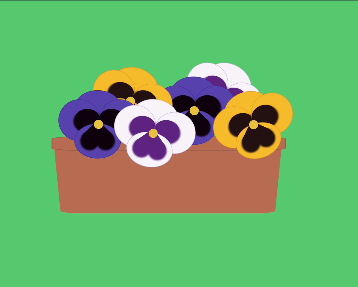 And day 18 is a window box of pansy flowers - this was one of my favourites so far and I learned a bit about scoped CSS variables in the process Check it out in  @CodePen  https://codepen.io/aitchiss/pen/jObgdwE  #100daysProjectScotland  #100daysProjectScotland2020