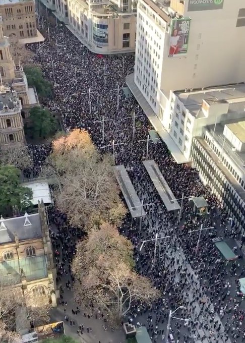 Προβολή εικόνας στο Twitter