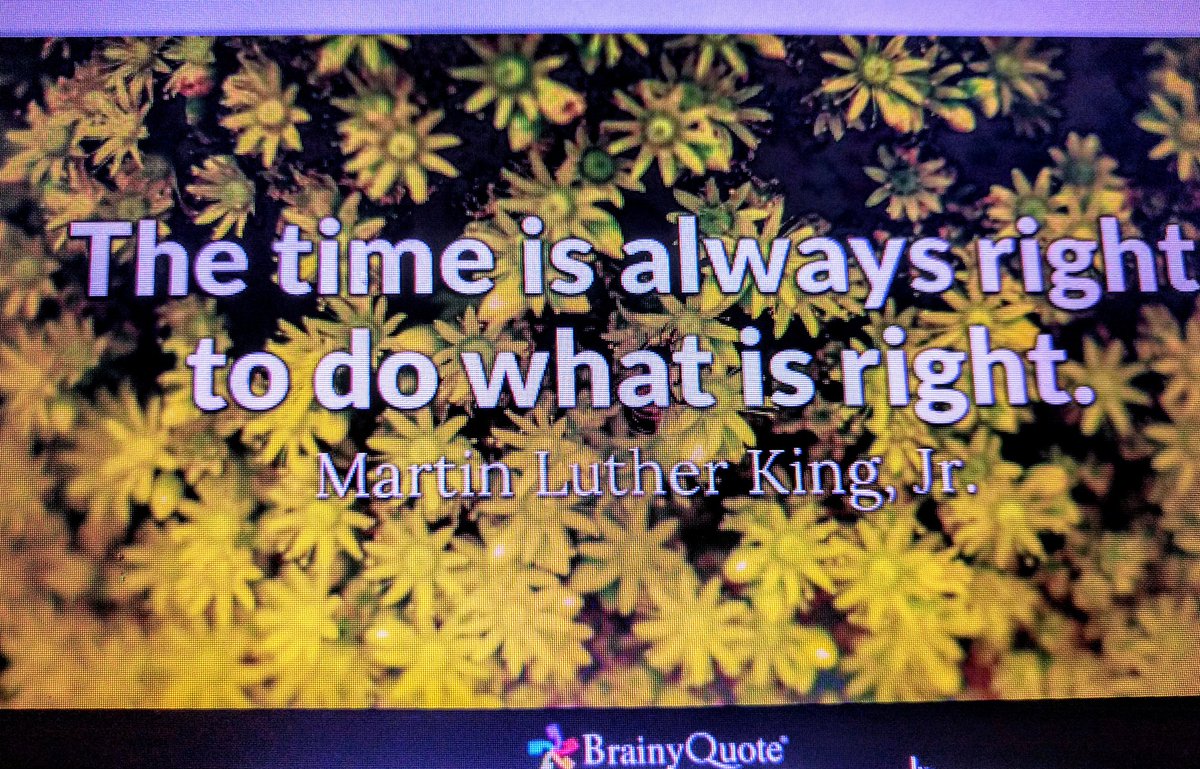 ESL at Yates Mill tweet media