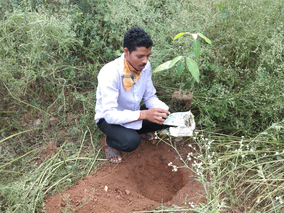 gnyanaranjanctc's tweet photo. “One of the first conditions of happiness is that the link between man and nature shall not be broken.”—Leo Tolstoy  we love tree love nature  so we plant care and protect @festival_jaipur @SoumyaRTurtle @saumyaparida2 @SAVEENERGYMAHI @drqayumiitk @tamtaashutosh https://t.co/tERS1ZYSGB