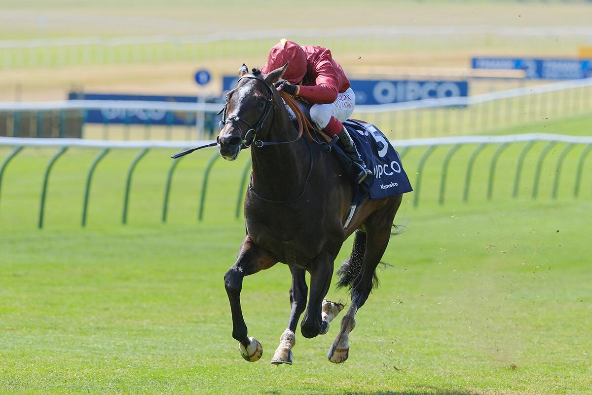 Kameko – 2000 Guineas 2020