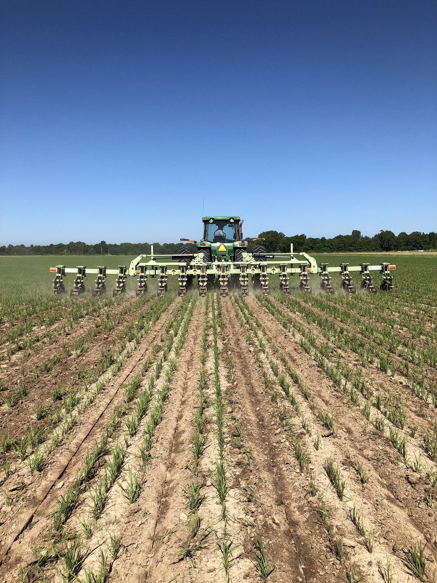 First time for everything. #rowrice