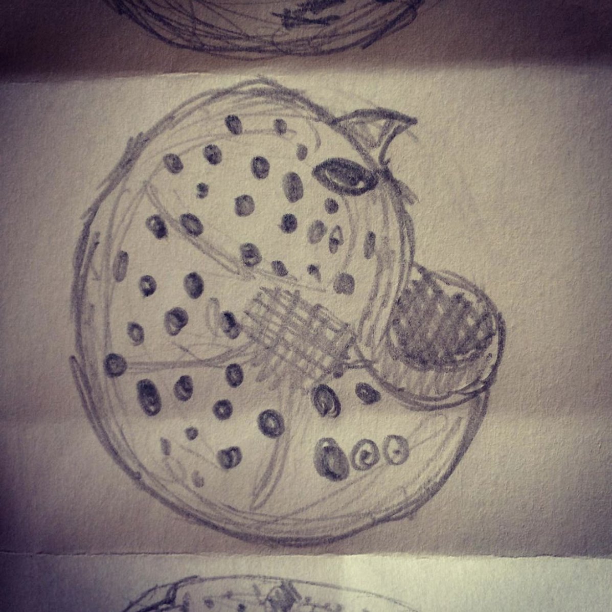 tannerjanfry's tweet photo. I really like Anomalinoides I guess. This one has a broken off final chamber sadly. #foram #foraminifera #benthic #anomalinoides #anomalina #palaeontology #paleontology #micropalaeo  #micropalaeontology #micropaleontology #fossil #microfossil #scienceart #palaeoart #illustration https://t.co/JSqI05X6HX