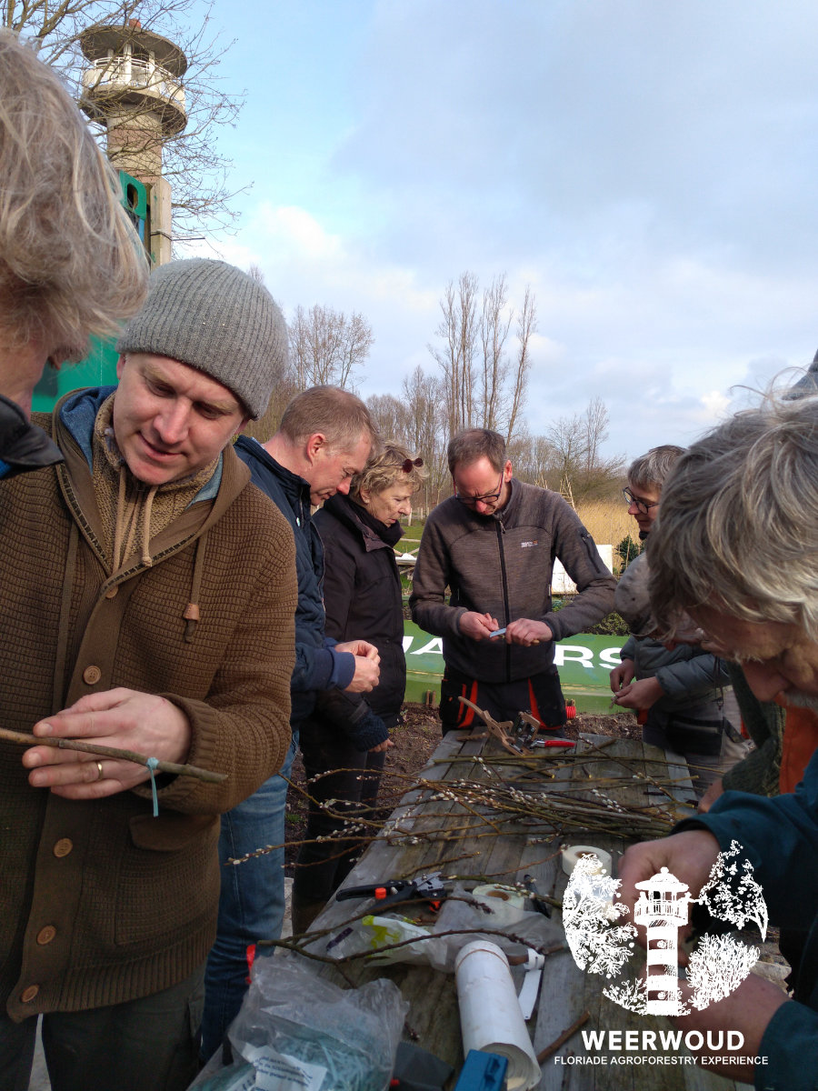 weerwoud's tweet photo. Entworkshop door Goran Christiansson - Raad van Advies @weerwoud Amandelen van ons #agroforestry voor onze vrijwillgers! Hopelijk volgen er nog velen en staat Almere straks vol met Amandelbomen :-) @FloriadeExpo
 #growinggreencities #gelukkighebbenwedefotosnog https://t.co/OdeCBKaFCS